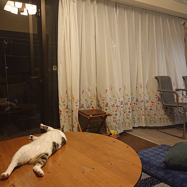 okyosan101さんの実例写真
