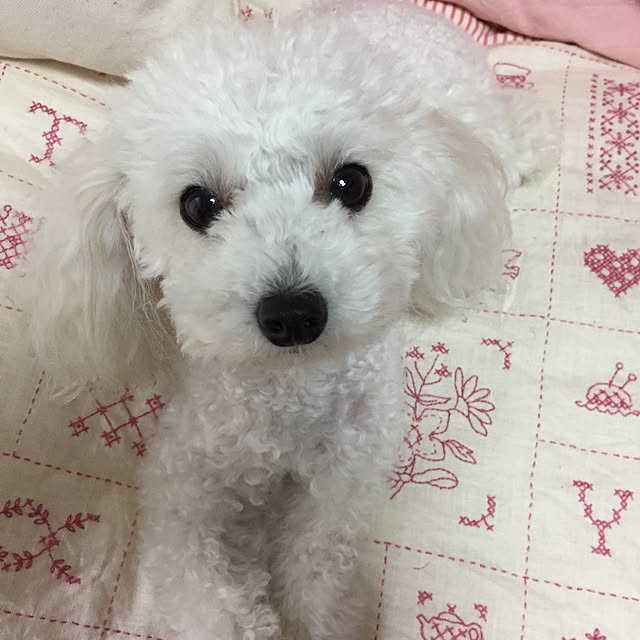 sei.hugさんの実例写真