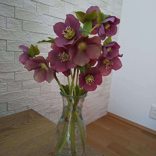 anemone37さんの実例写真