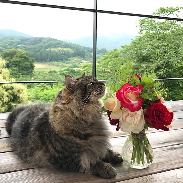 sakurasakuさんの実例写真