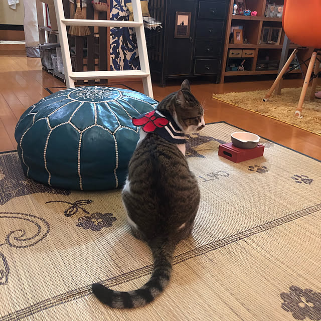 jijiさんの実例写真