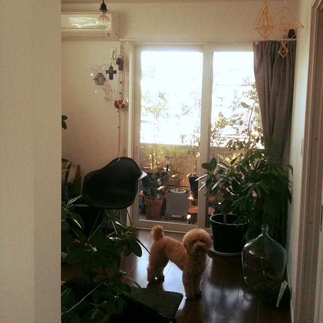 実例写真