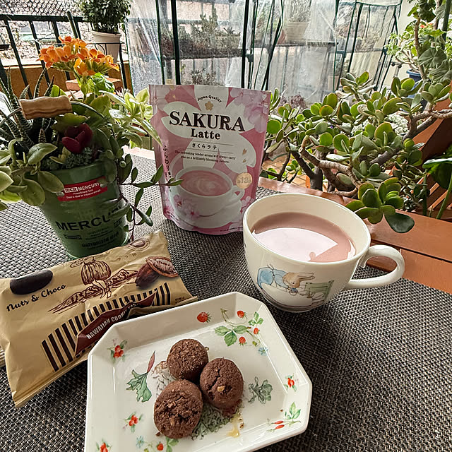 玄関/入り口/マーキュリーのミニバケツ/多肉植物のある暮らし/多肉植物寄せ植え/今夜はレッスン支度して行ってきます...などのインテリア実例 - 2026-04-01 16:46:53