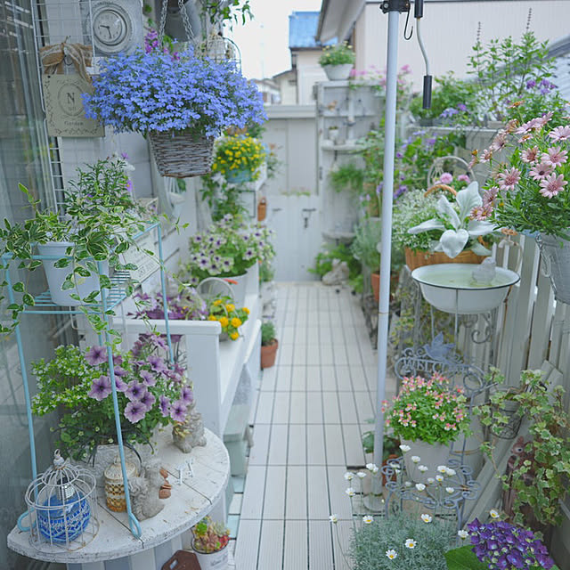 KNさんの実例写真