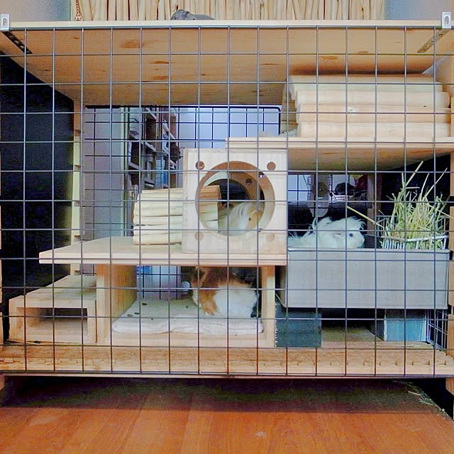 Atsushiさんの実例写真