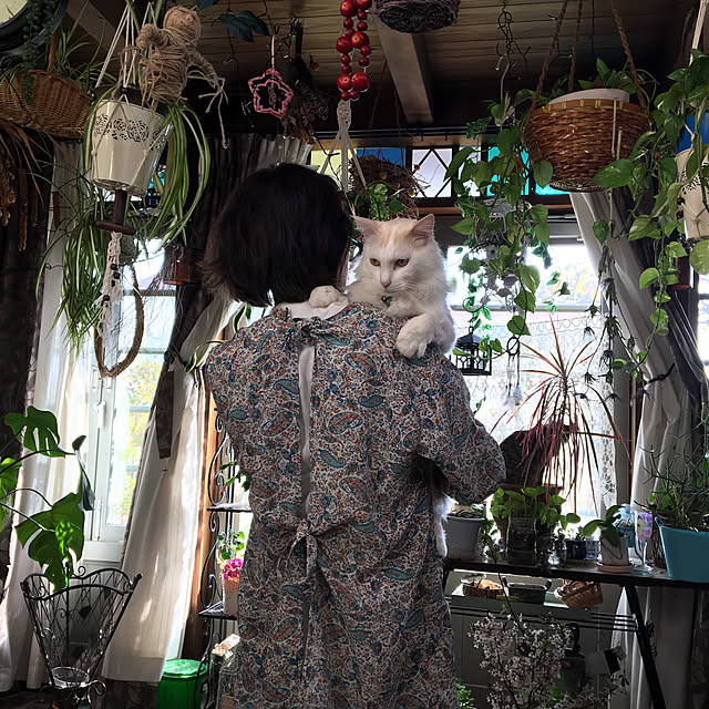 shigimiさんの実例写真