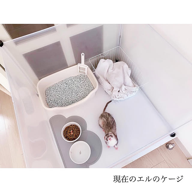 chaluさんの実例写真