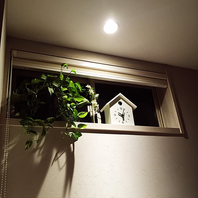 Kさんの実例写真