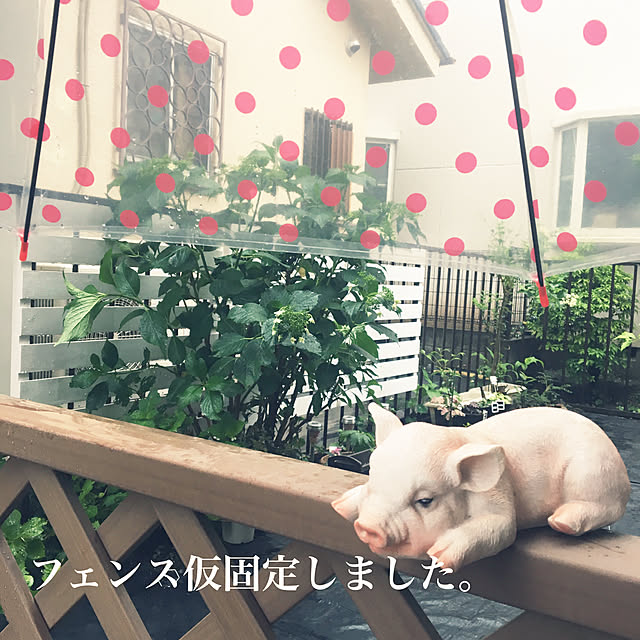 paru_kichiさんの実例写真