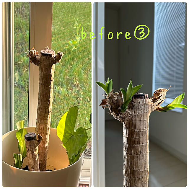 hanahana1444さんの部屋