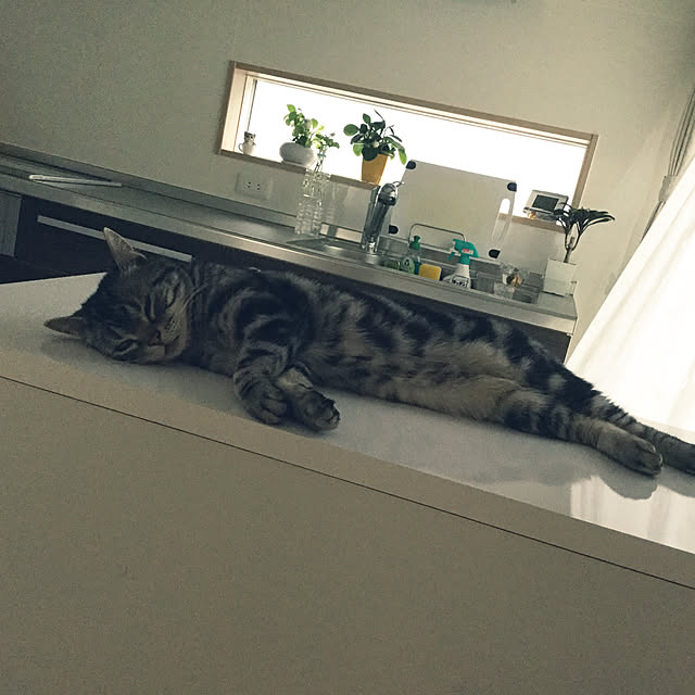 richanさんの実例写真