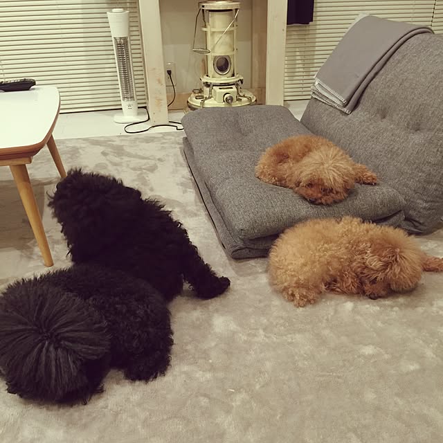 chiiさんの実例写真