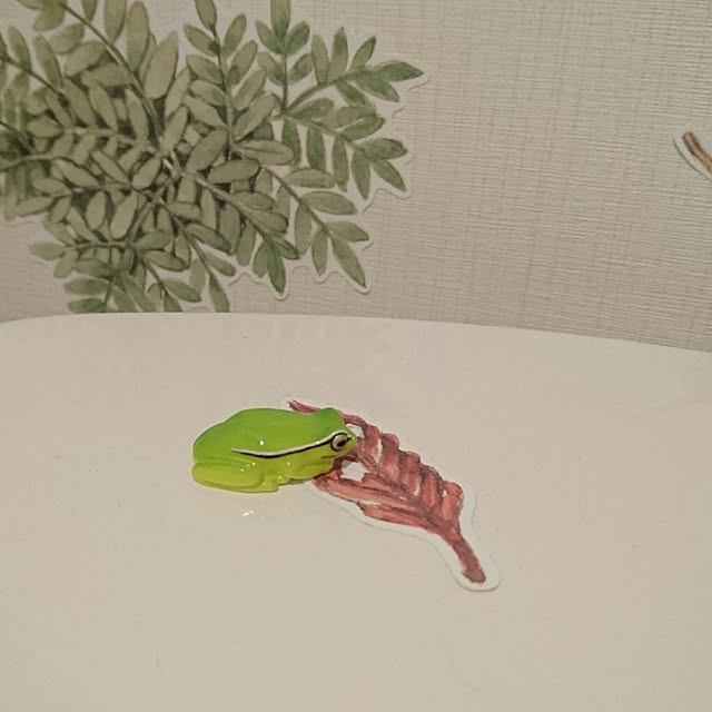 tokiさんの実例写真