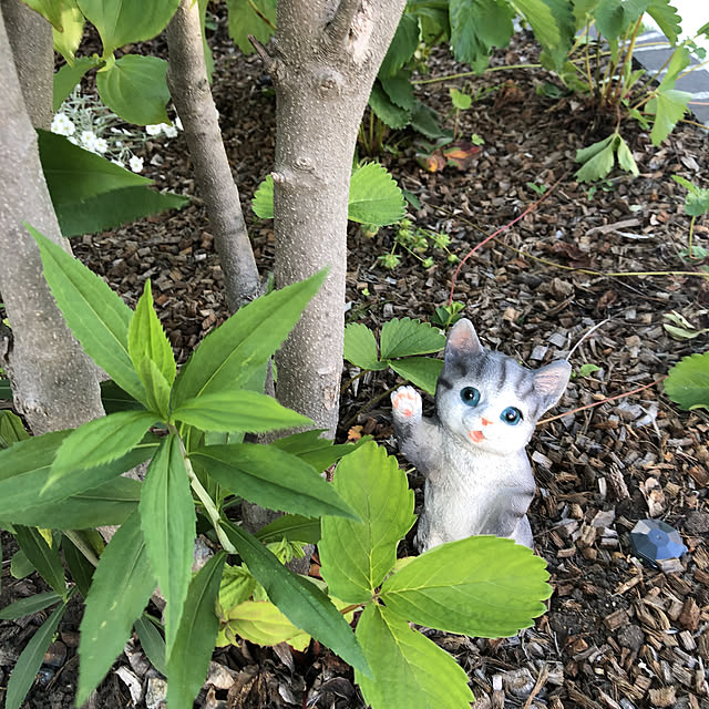 Yukiさんの実例写真