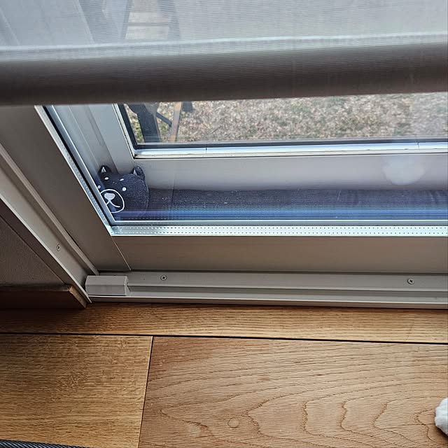 koyurizuさんの部屋