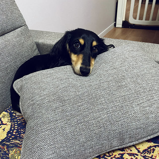 uninekoさんの実例写真
