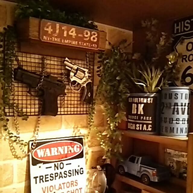 DS250さんの実例写真