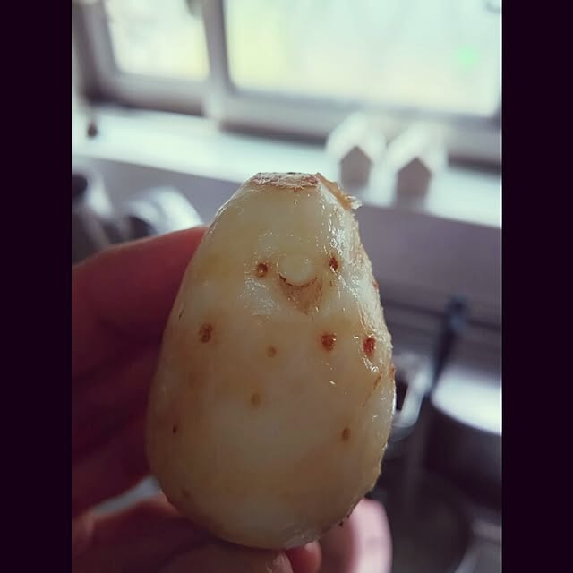 Yumikoさんの実例写真