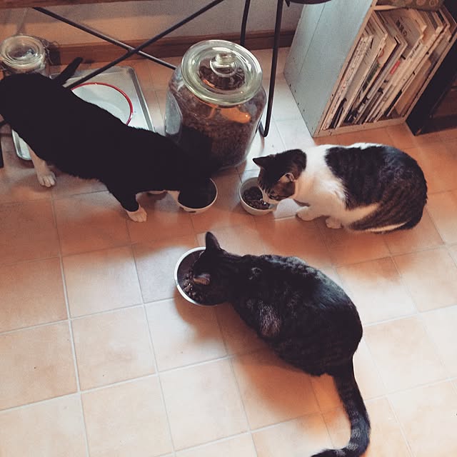 実例写真