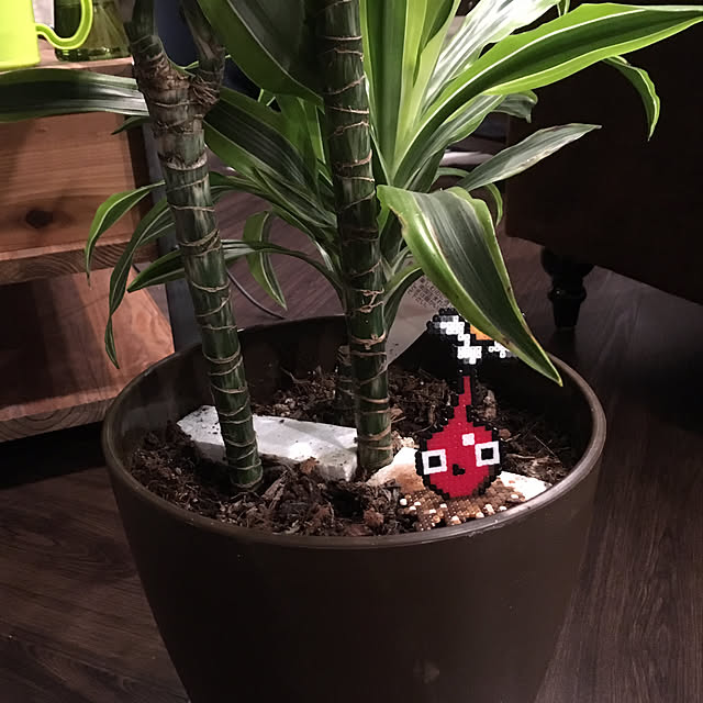 hikiganeさんの実例写真