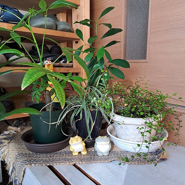 kiyohima229さんの実例写真