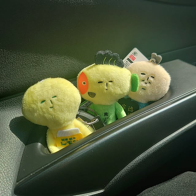 shinobuさんの実例写真