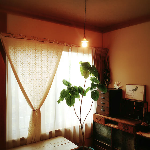 keikorinさんの実例写真