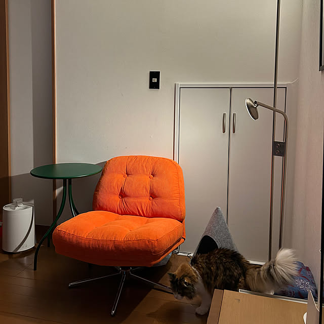 Darylさんの実例写真