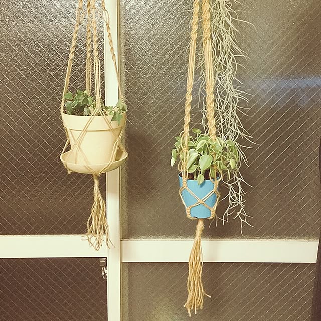 Maikoさんの実例写真