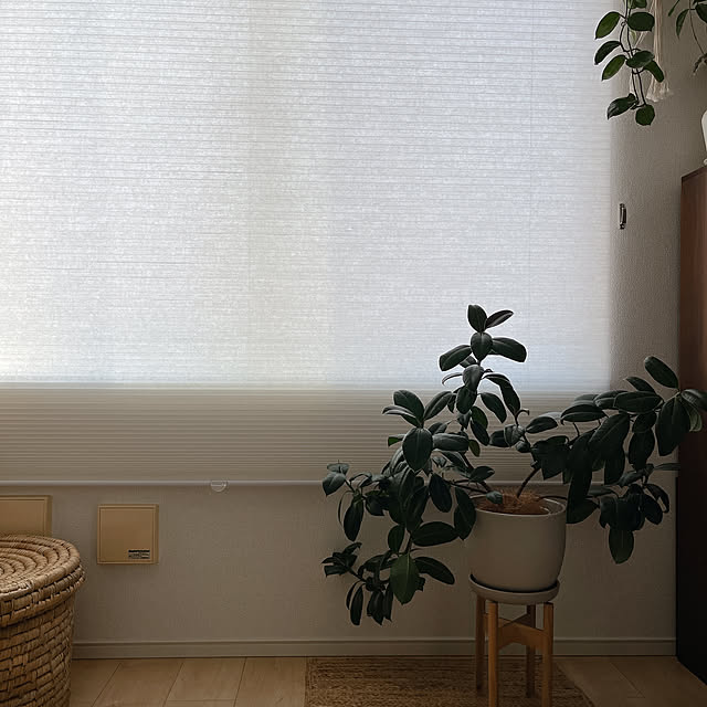 moon.mさんの部屋