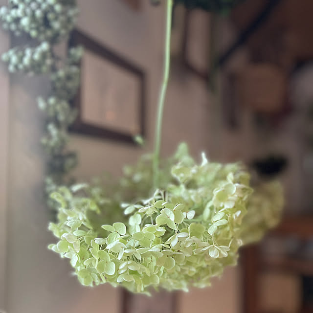 nikoさんの部屋