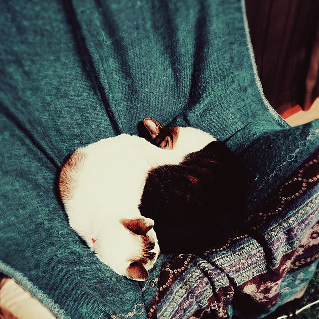 choku3さんの実例写真