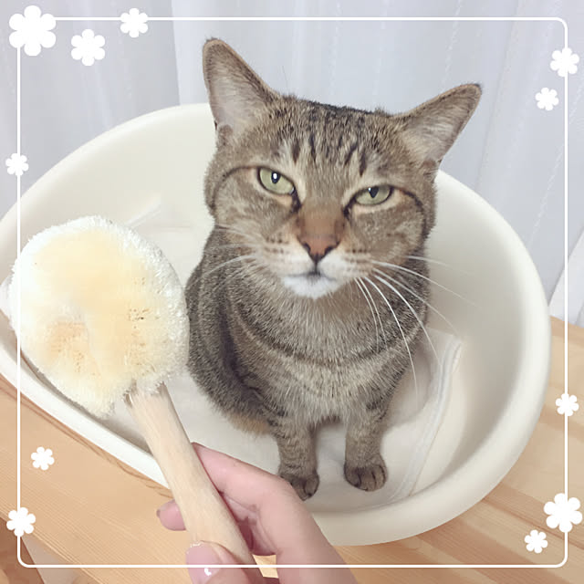 Emiさんの実例写真