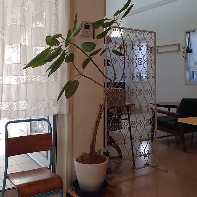 oranginaさんの実例写真