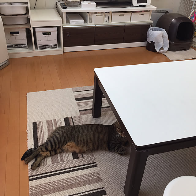 RiriLalaさんの実例写真