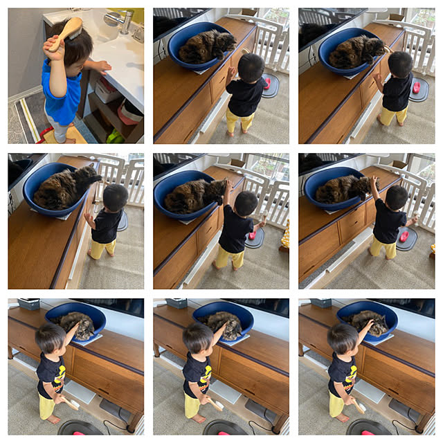 mikomaruさんの実例写真