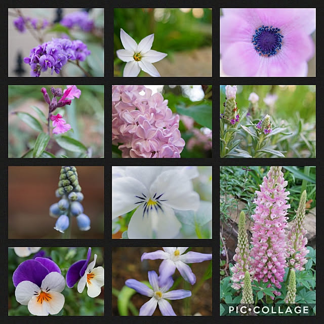aromameさんの実例写真