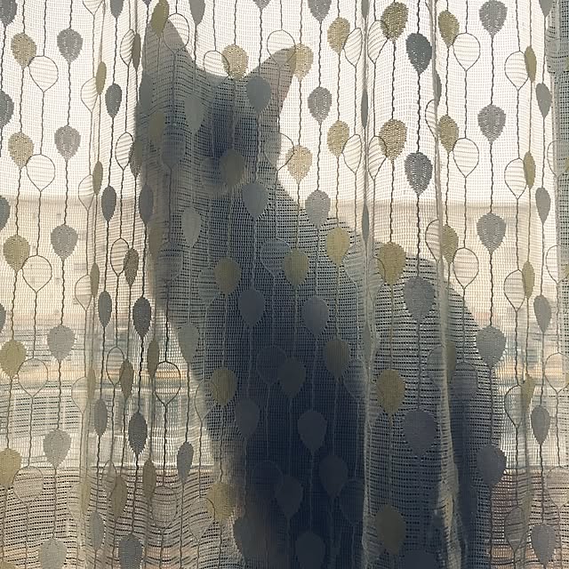 baronkotarouさんの実例写真