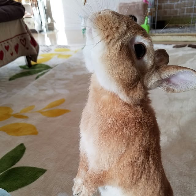 k-ai323さんの実例写真