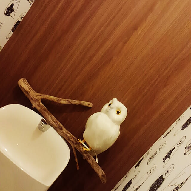 yuririさんの実例写真