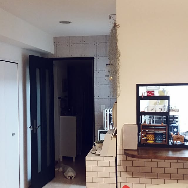 yukagomaさんの実例写真