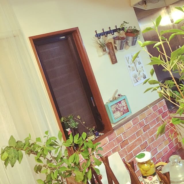 painmomoさんの実例写真