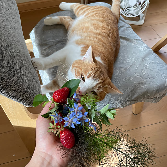 suyaさんの部屋