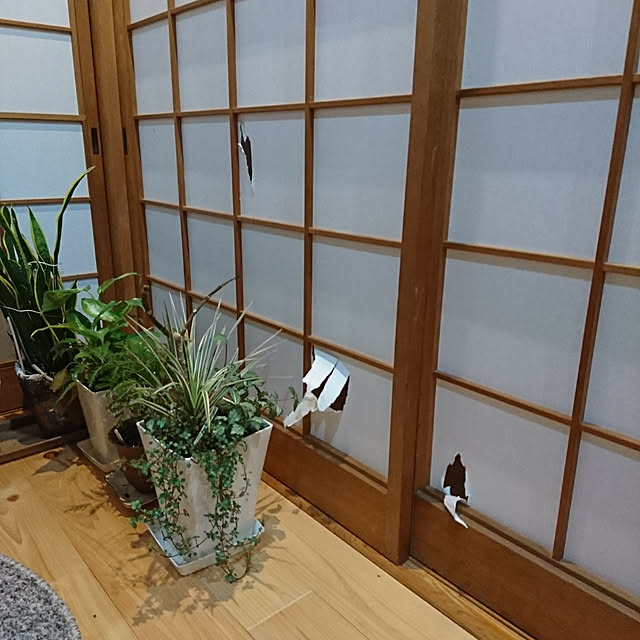 coffee-groundsさんの実例写真