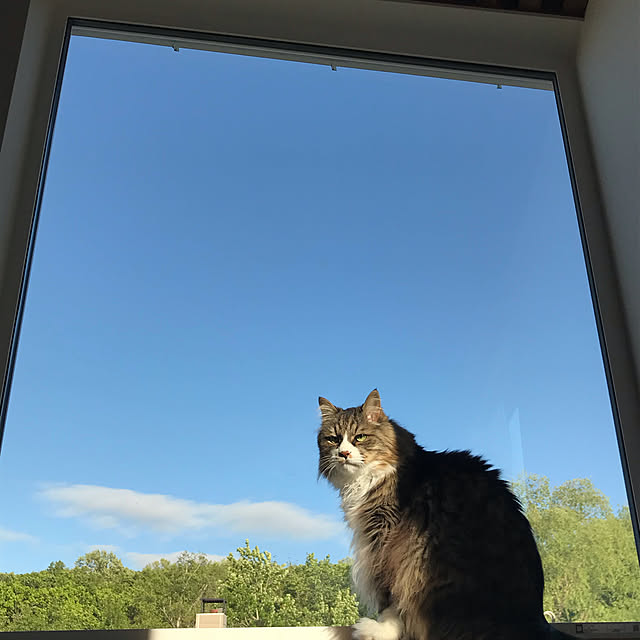 micさんの実例写真