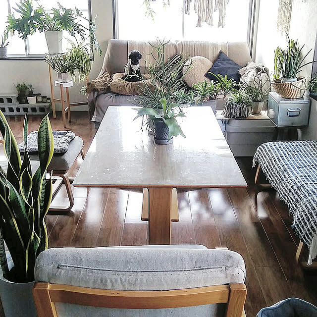 hira_muji_mihiさんの実例写真