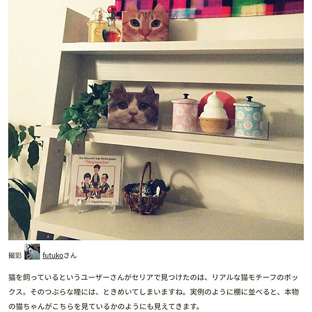 futukoさんの実例写真