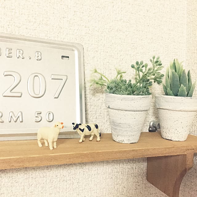 amipyさんの実例写真