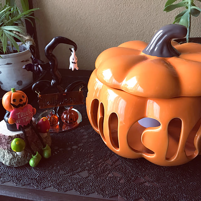 Sanaさんの実例写真