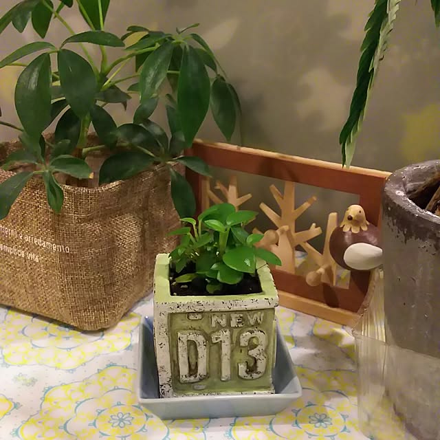 KOHAKUさんの実例写真